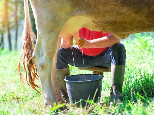 Kids learning about animals